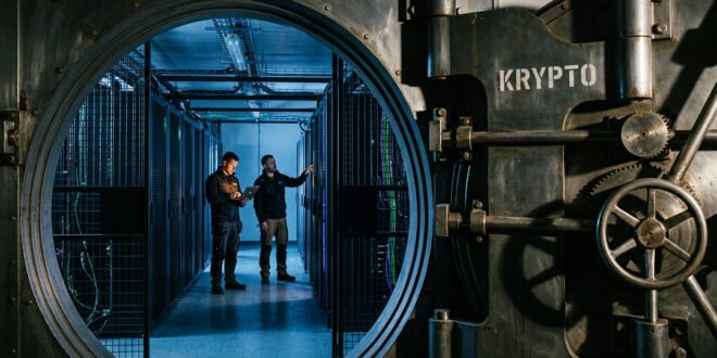 Neue Krypto Coins Mit Potenzial: So bewerten Profis junge Token-Projekte